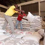 Rice storage